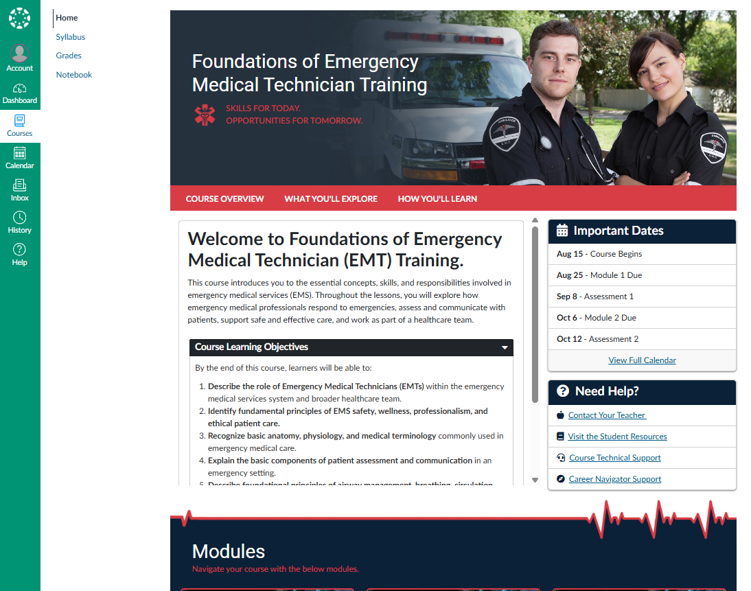 University of South Florida Canvas course home page with attractive layout