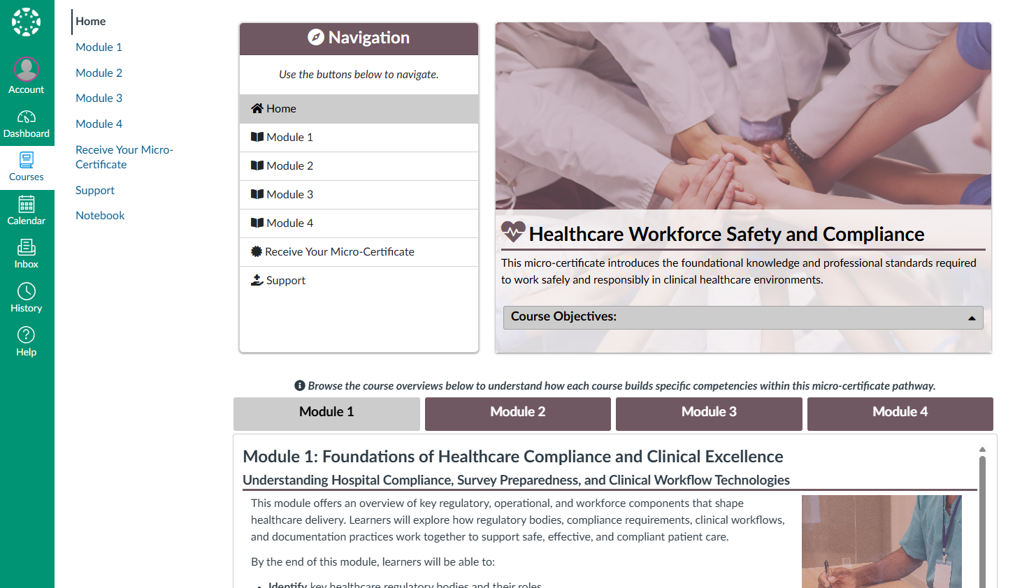 University of South Florida Canvas home page with left navigation