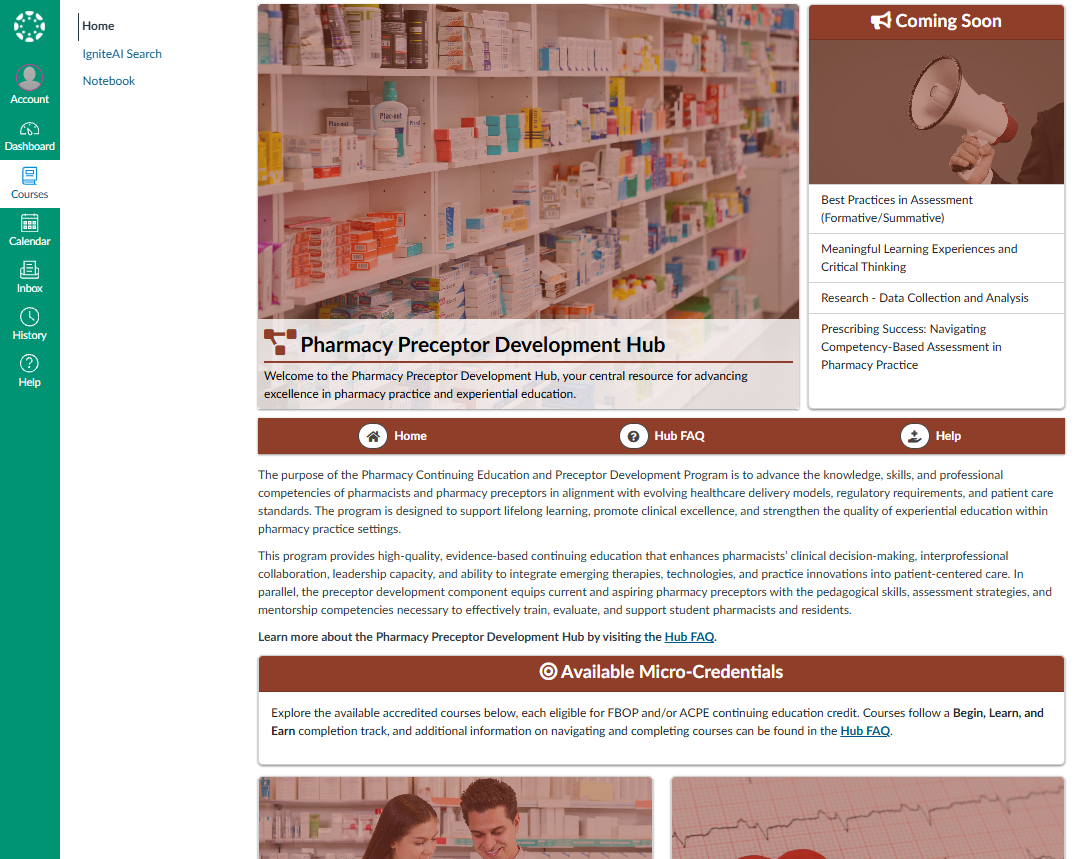 University of South Florida Canvas course homepage
